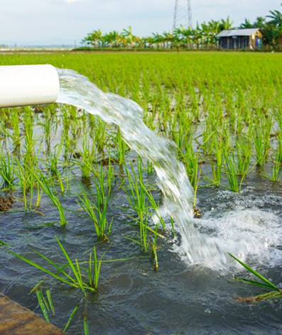 Agricultural technology innovation.