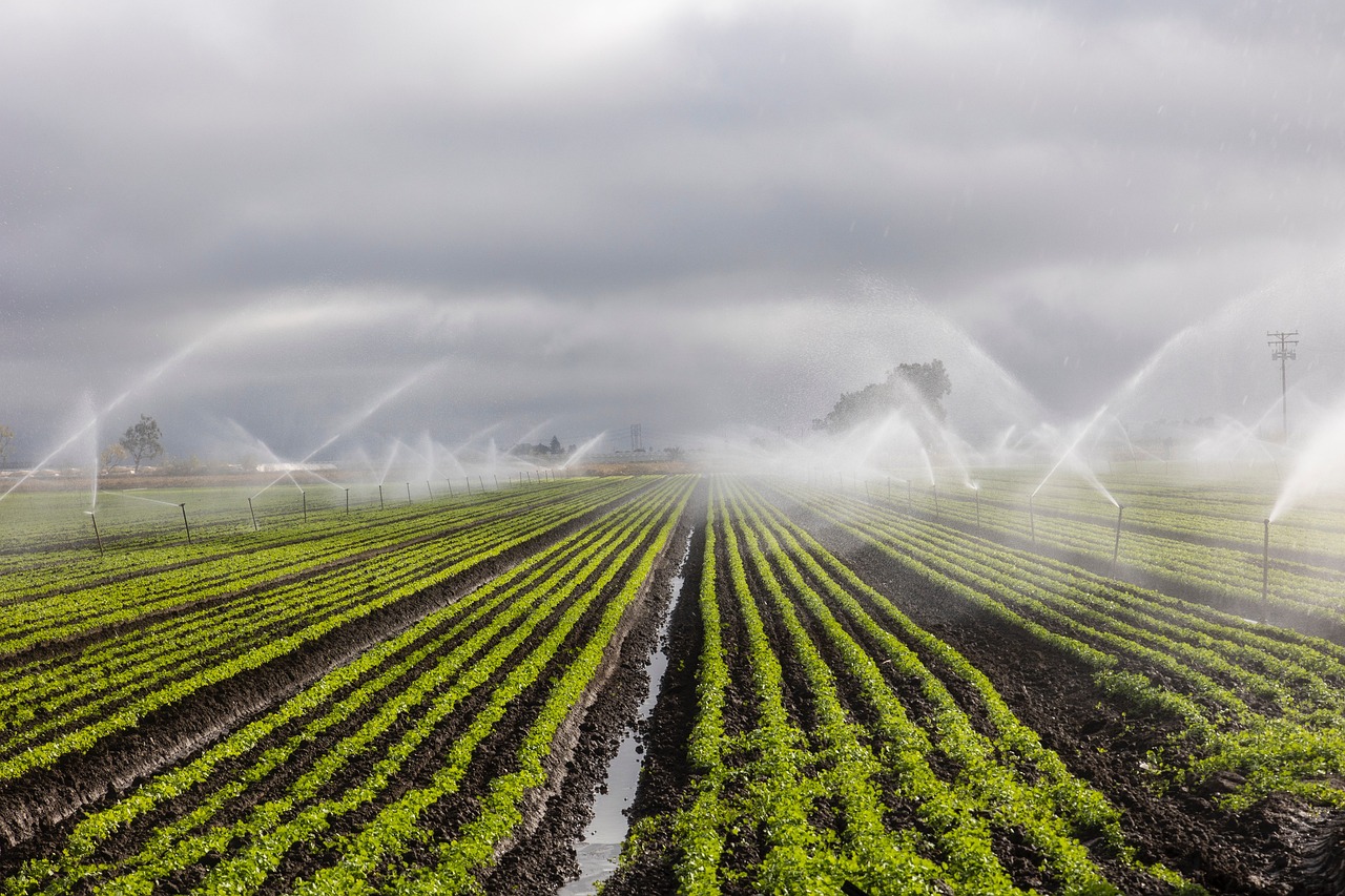 How to Choose the Right Centrifugal Irrigation Pump for Your Farm